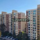 압구정-111 이미지