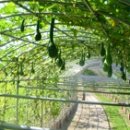 시민체육공원 시민축구장화장실 이미지