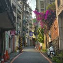 슬로쓰 이미지