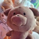 토피아인형뽑기 이미지