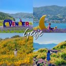 경천리 마을회관 앞 공중화장실 | 거제 지세포성 라벤더 6월 경남 꽃구경 가는길 수국 개화상황