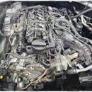 성일모터스 이미지