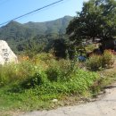 덕수농원 이미지