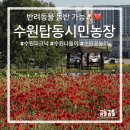 선해농장 | 수원 피크닉, 나들이 장소 추천 “수원탑동시민농장”