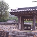 사류