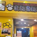 마네키네코노래연습장2 이미지