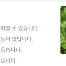 황기족발