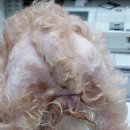 진보동물병원 이미지