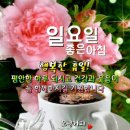 일요일 이미지