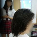아름다울 련