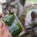 용강농장 이미지