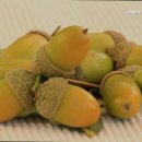 서울우리요양병원 | 믿을 수 있는 부산 북구 요양원 추천 서울우리요양병원 가족과 같은 마음