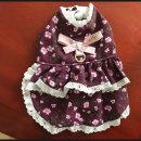 필립동물병원 이미지