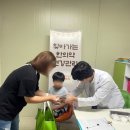 하치 이미지