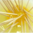 도란에그팜 이미지