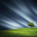 작은꿈들 이미지