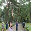 다금식당 이미지