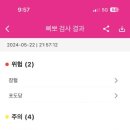 펄스랩 네이버블로그