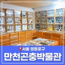 극동장수(남)경로당 | 만천곤충박물관 주차 입장료 서울 영등포구 가볼만한 곳