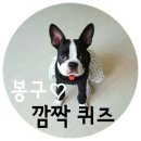 봉구 이미지