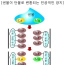 이온ION 이미지