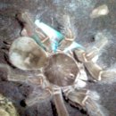 마들역(7호선) 이미지