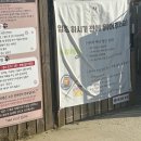 개으른세상 도그푸드 이미지