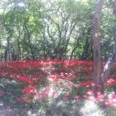 불갑약수터 이미지