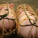 돼지우리 이미지