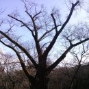 NR-39[서해로]-하-67 | 강화 전등사 , 정족산사고