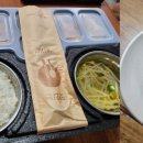 개구리도시락 세계일보