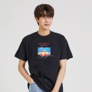 3934 이미지