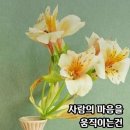 🌽 옥수수알맛있는 밥해먹으려고 이미지