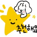 바르다펫 대전점 이미지