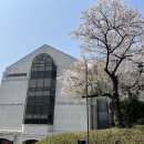 투썸플레이스신촌연세동문회관점 네이버블로그
