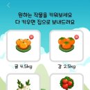 올웨이즈