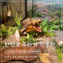 안면도쥬라기박물관 | 태안 가볼 만한 곳 안면도 쥬라기 박물관 방문 후기
