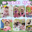 동화속어린이집 이미지