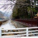 서원곡 비행장 앞 Daum카페