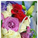 뜰아래플라워 이미지