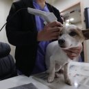 계산동물병원 이미지