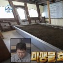 효소자연치유센터