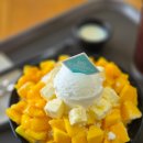웰빙커피 | 미금역 설빙 메뉴 및 애플망고치즈빙수, 커피 후기