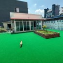 떙글땡굴 이미지