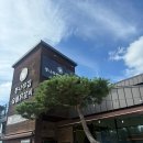 주식회사통나무집숯불닭갈비 | 통나무집 숯불 닭갈비 | 강원도 춘천 숯불 닭갈비 맛집 추천, 통나무집 숯불 닭갈비 2호점 방문 후기