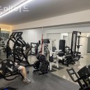 머슬메이드 이미지