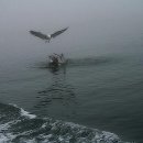 일도네민박 이미지