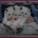 금강호 관광지 이미지