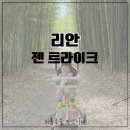 조이마트안성내리점 | 리안 젠 트라이크 한달 후기 | 벚꽃 구경부터 여행, 장보기까지 진짜 많이 써본 찐사용기