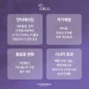 씨엘로주